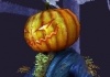 Samhain's Avatar