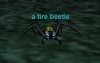 Fire Beetle's Avatar