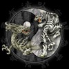 TallyDawg's Avatar