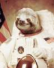 Slothslayer's Avatar