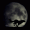 Buffet_Shammy's Avatar
