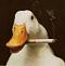 dirty_duck's Avatar