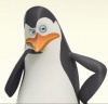 Kowalski's Avatar