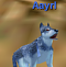 Aayrl's Avatar